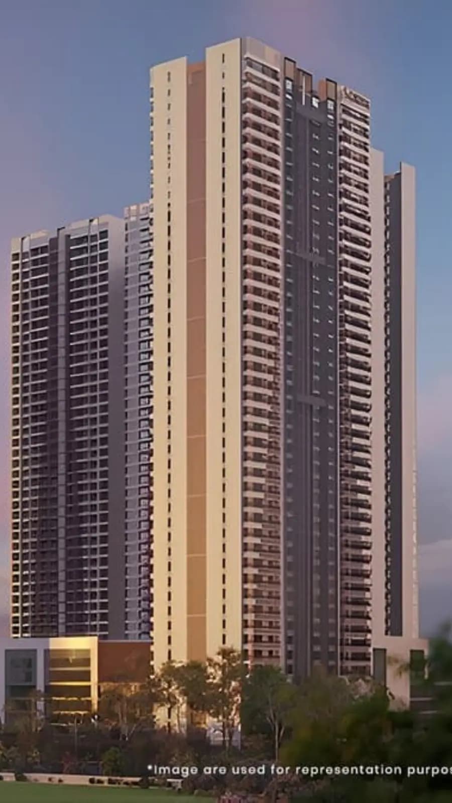 Project banner mobile