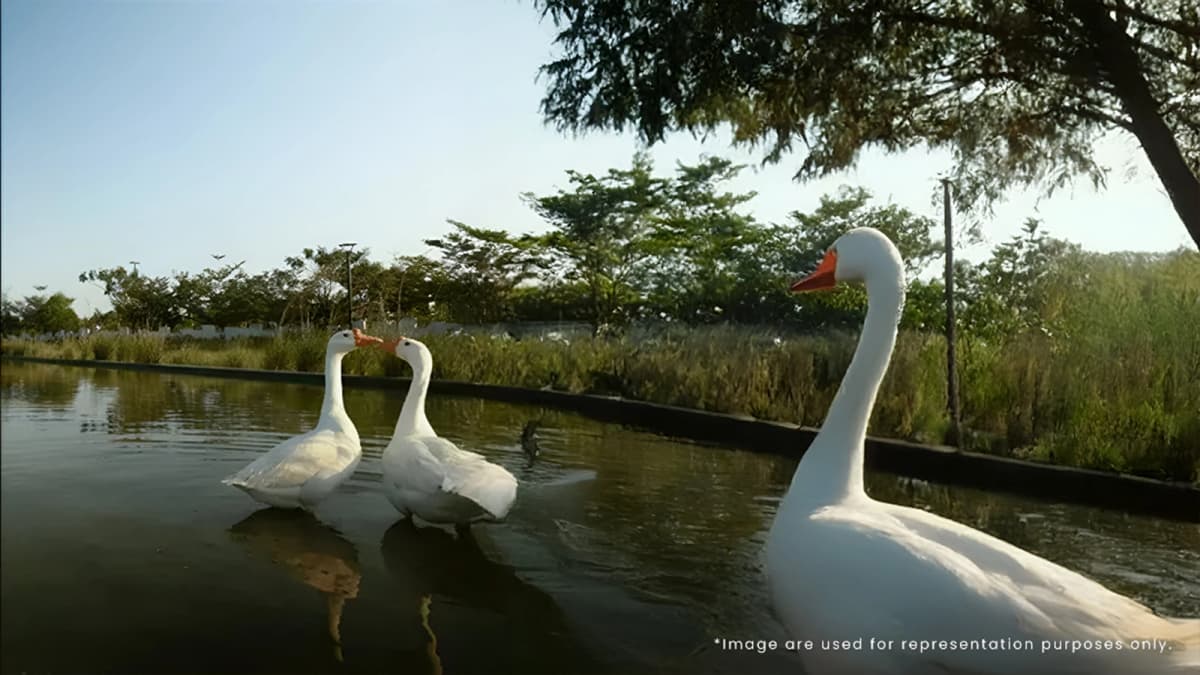 Embassy spring Plot in devanhalli in bangalore lake