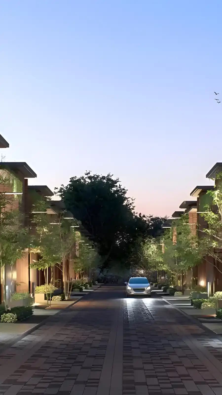 Project banner mobile