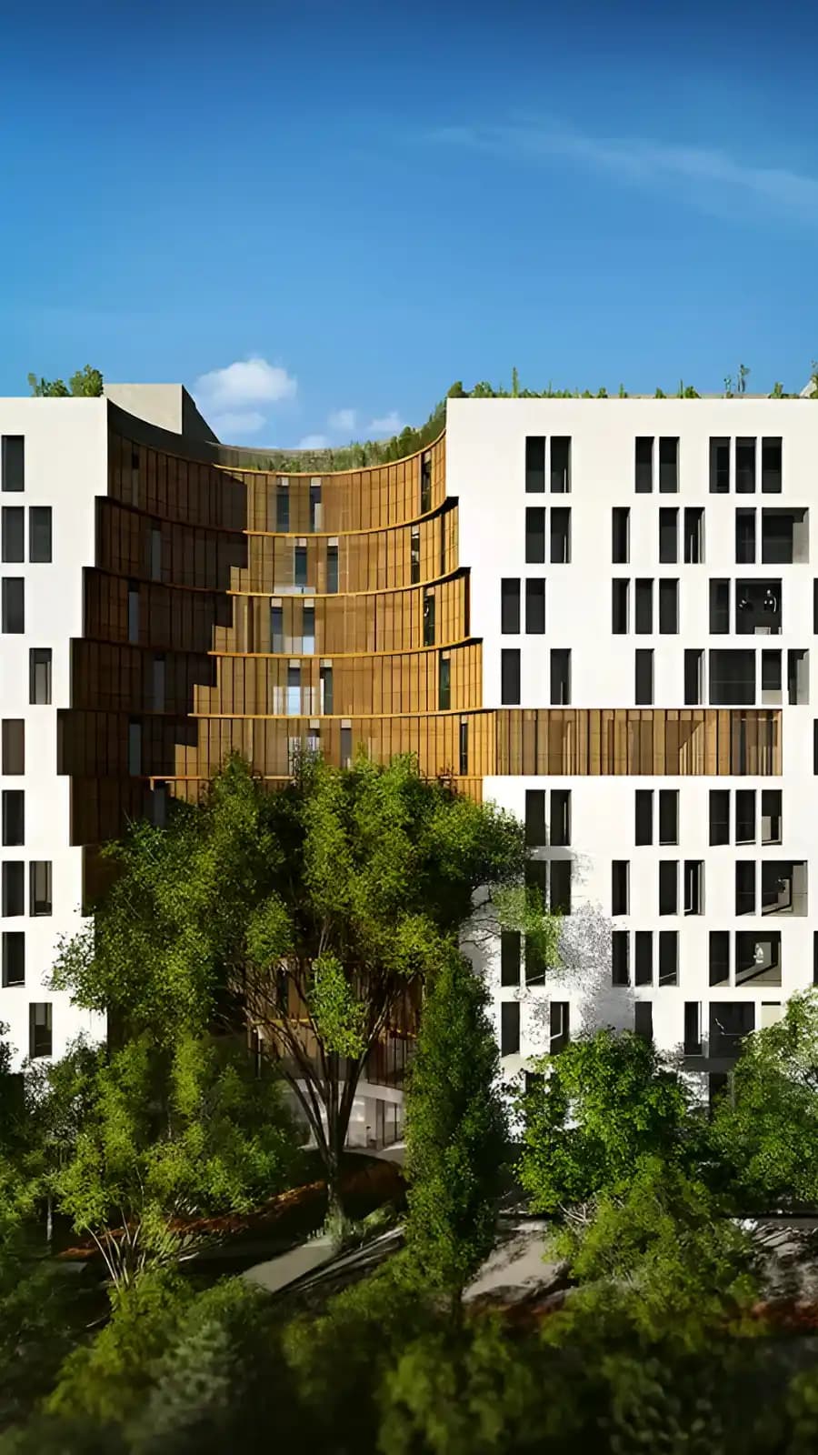 Project banner mobile