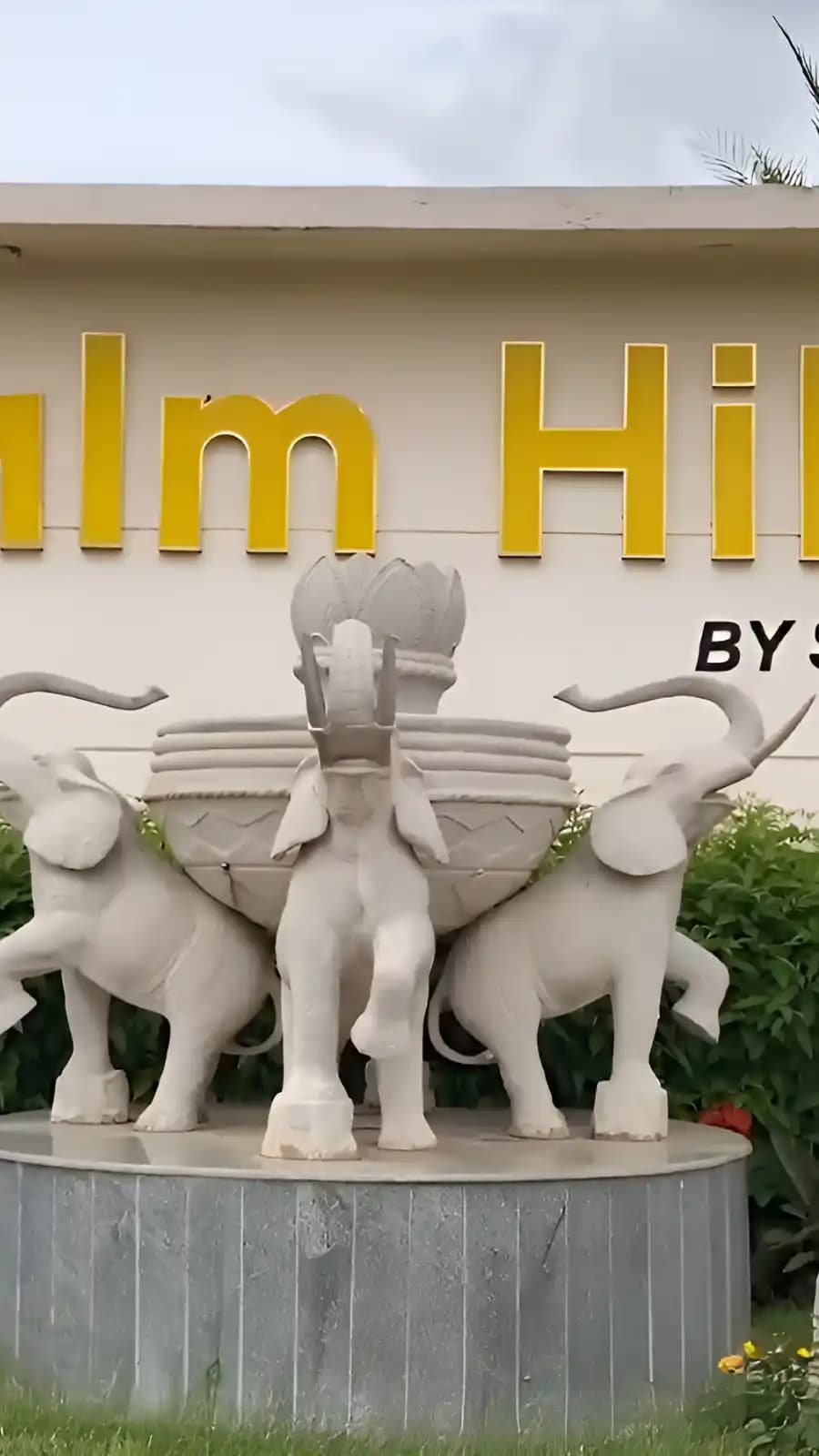 Project banner mobile