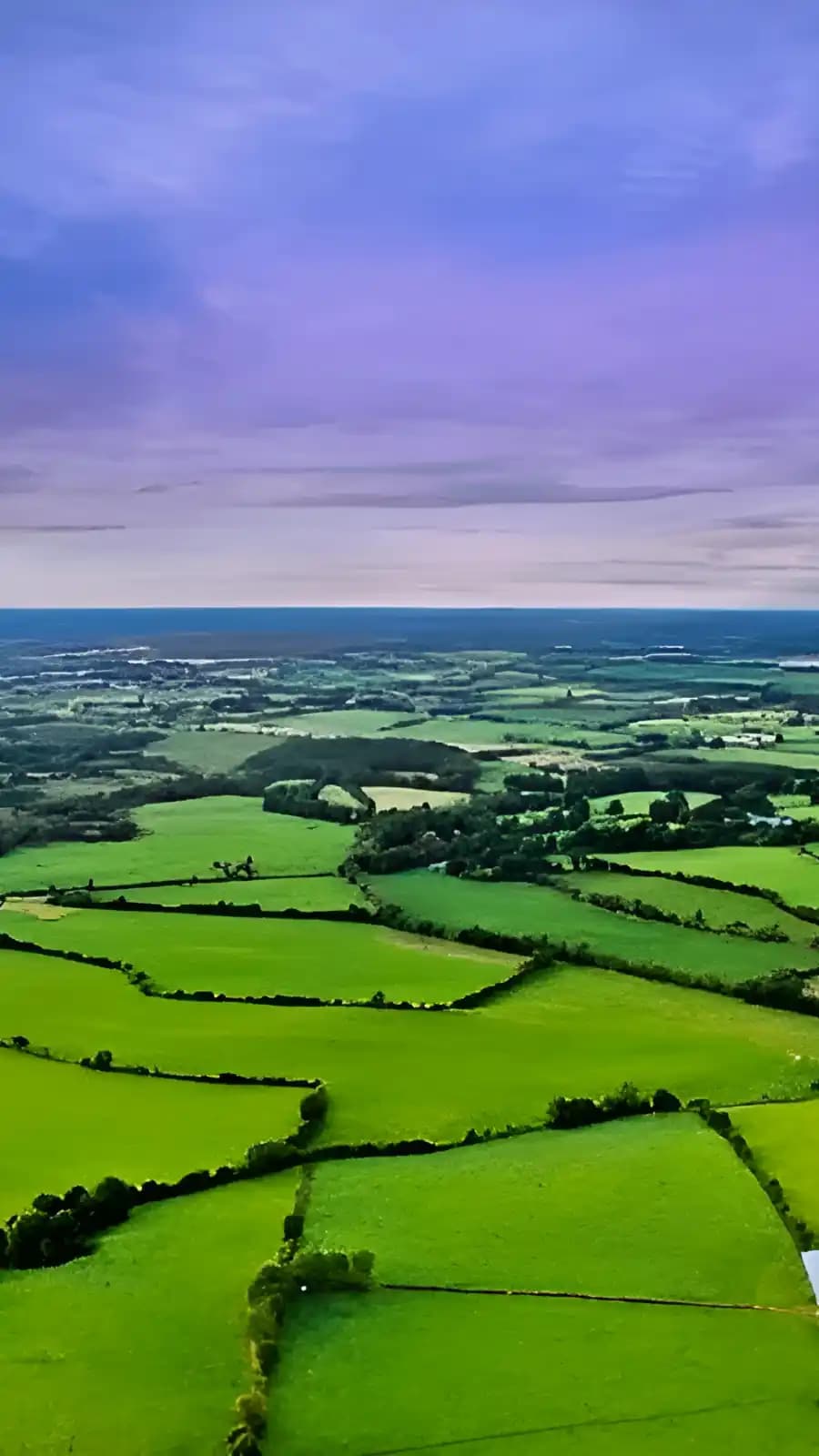 Project banner mobile