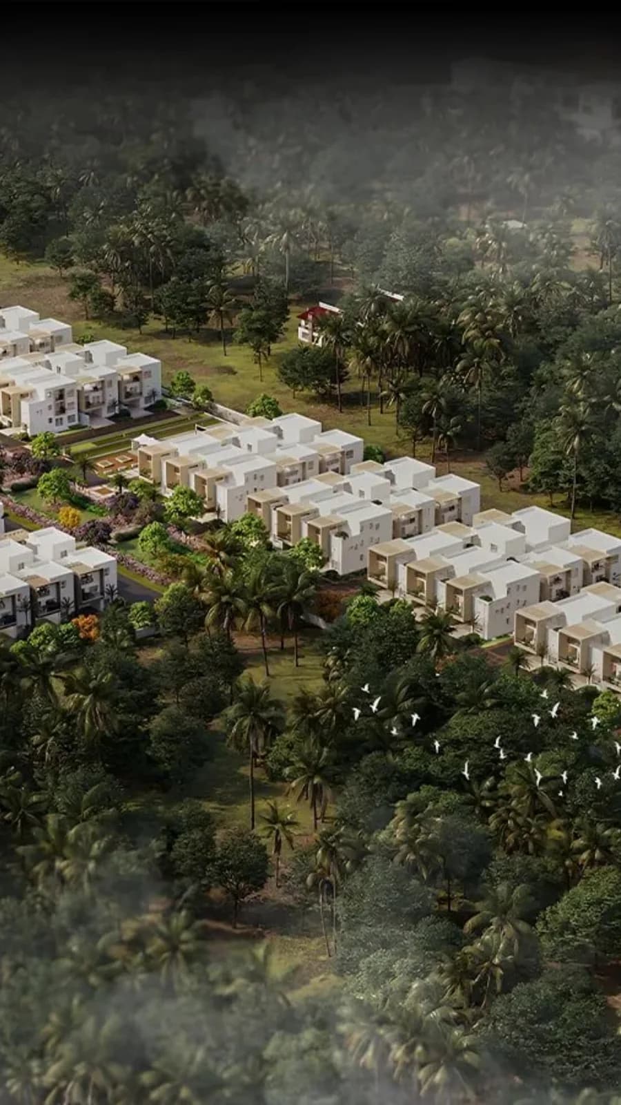 Project banner mobile