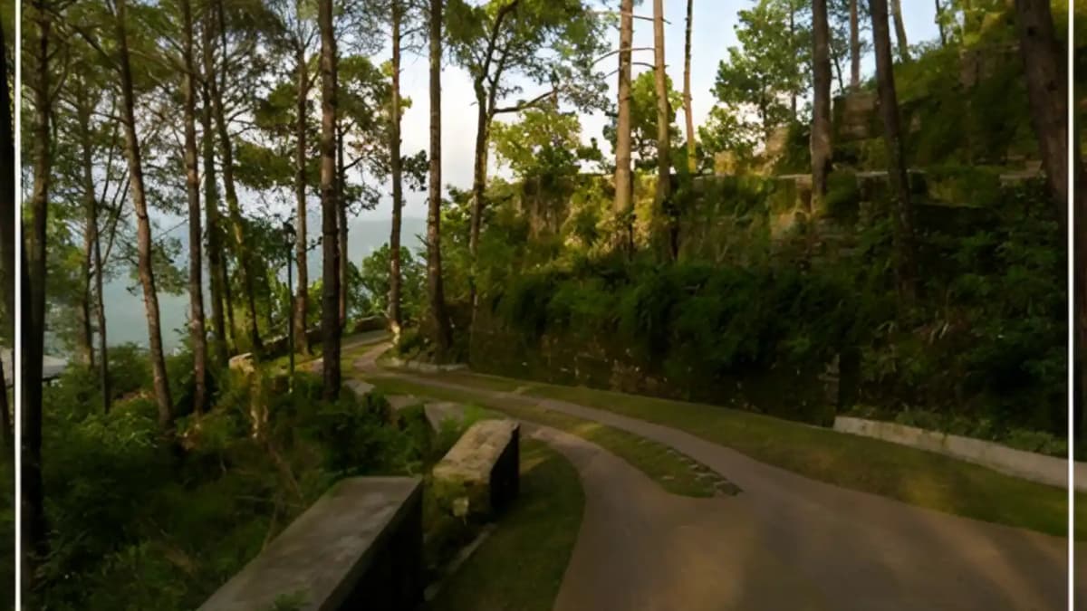 DLF-Samavana-Studi-Apartments-and-Plots-Himachal-Pradesh-Greenry