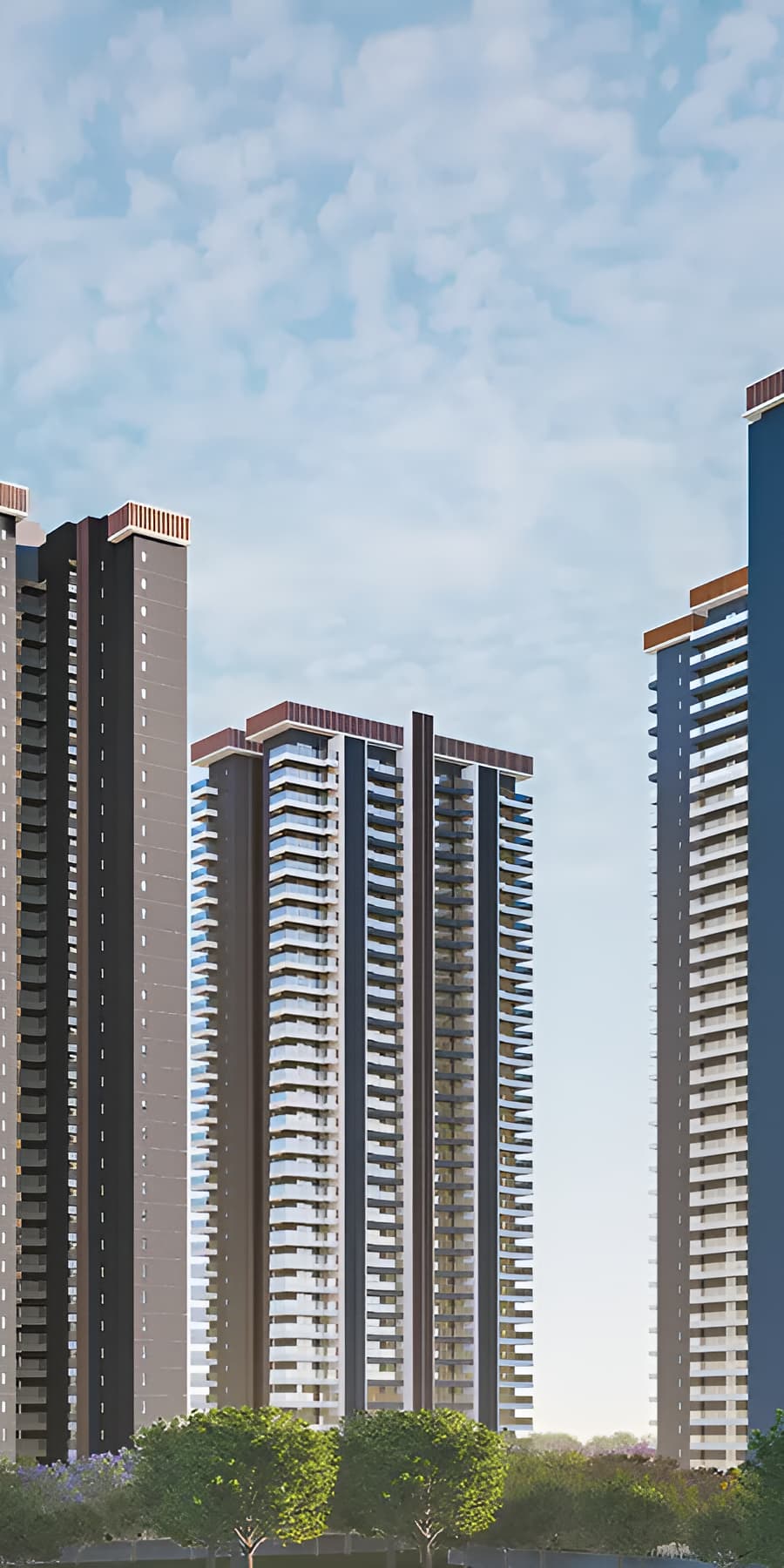 Project banner mobile