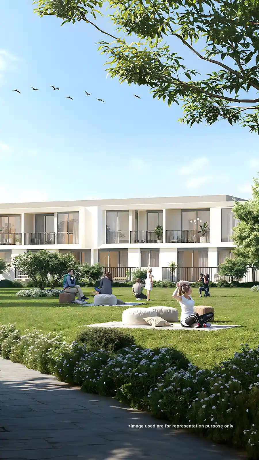 Project banner mobile